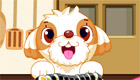 Jeux de cuisine : Des sushis pour chien
